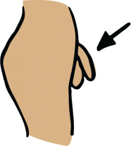 Illustration Penis