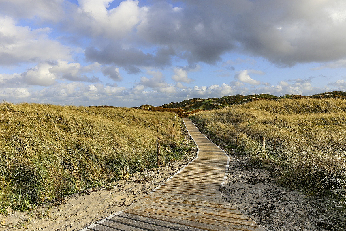 Bildbeschreibung: Weg zum Strand durch die Dünen.